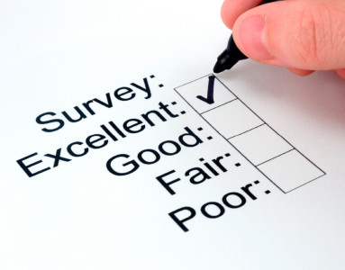 Employee Survey Consultant Chicago